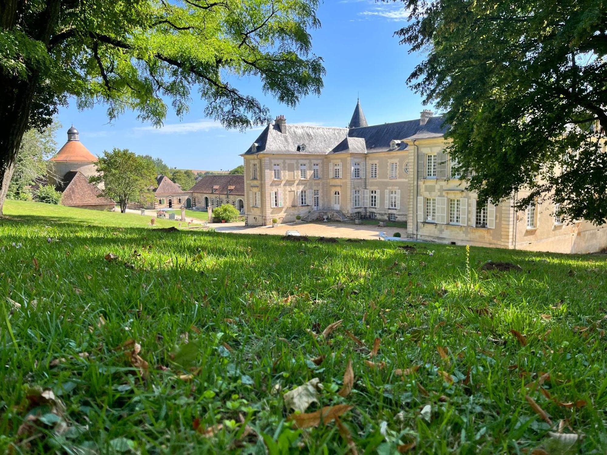 Chateau De Beaujeu Sens-Beaujeu Esterno foto