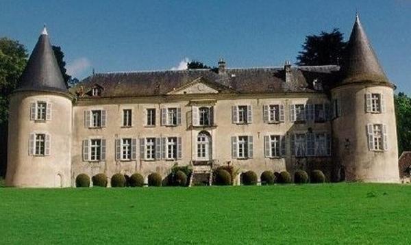 Chateau De Beaujeu Sens-Beaujeu Esterno foto