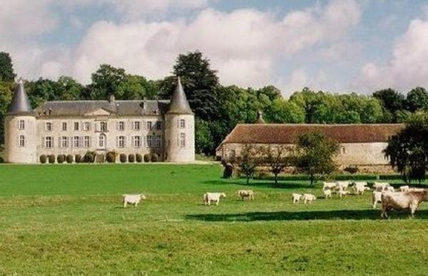 Chateau De Beaujeu Sens-Beaujeu Esterno foto