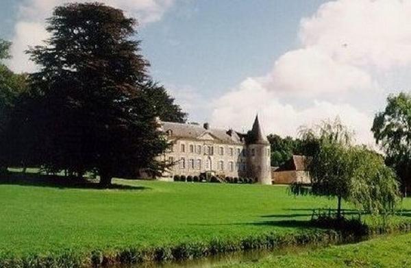 Chateau De Beaujeu Sens-Beaujeu Esterno foto