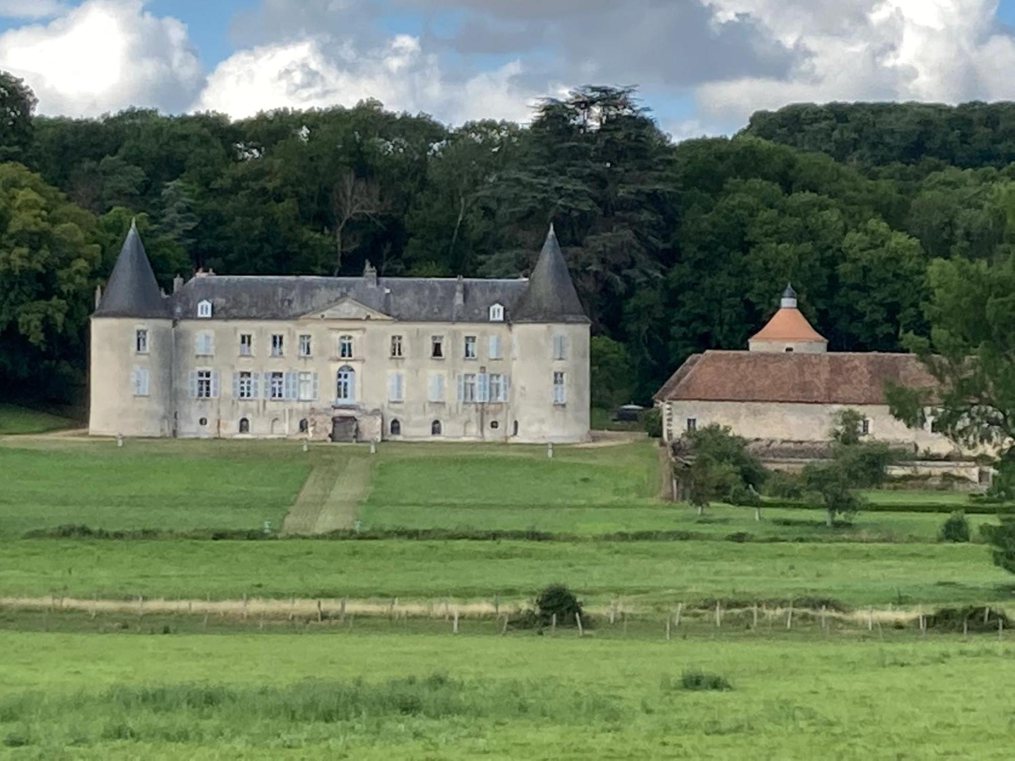 Chateau De Beaujeu Sens-Beaujeu Esterno foto